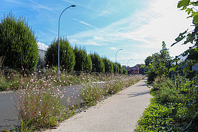 Zone d'Activité Economique de Chamlys - Agrandir l'image