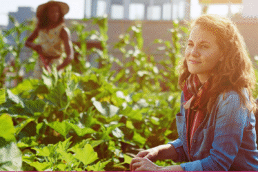 Vitagora – Cultivons nos villes