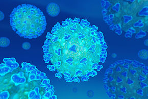 CORONAVIRUS : les dispositions à l&rsquo;Agglo