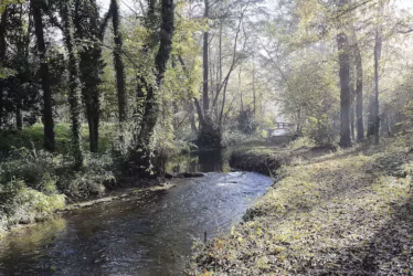 Redécouvrez les parcs et jardins de l&rsquo;Agglo !