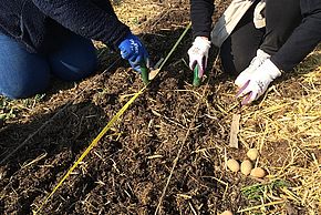 Biotopiha, ça pousse !