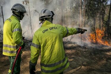 Vigilance feux de forêt