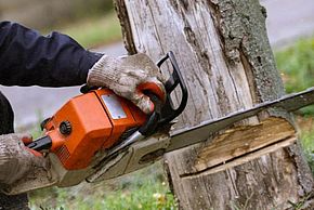 Abattage d&rsquo;arbres dangereux à Maincy