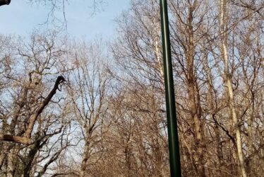 Seine-Port : modernisation du réseau d&rsquo;éclairage sur les RD 50 et RD 82