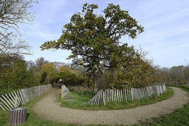 Le Plan Climat Air Énergie Territorial 