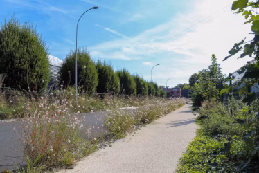 ZAE de Chamlys : la réhabilitation se termine