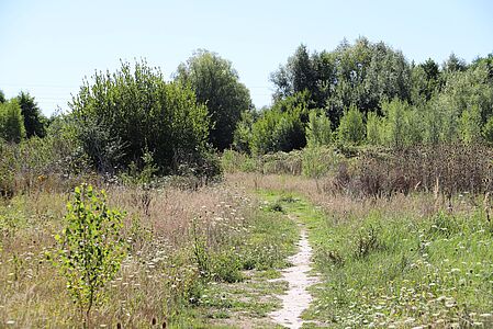 Le Parc des Fouilles