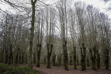 Parcs et jardins de l&rsquo;Agglomération