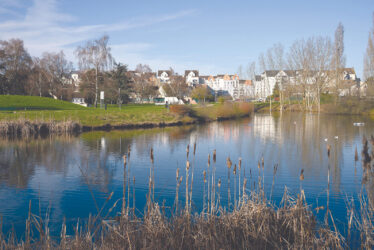 Le rapport développement durable et égalité femmes-hommes 2025