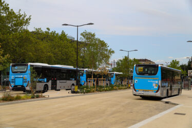 Bus